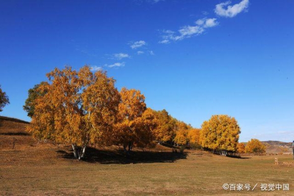 內蒙古赤峰聯(lián)禹環(huán)保電話號碼-第1張圖片