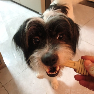 赤峰樂閣寵物生活館電話號碼-第1張圖片