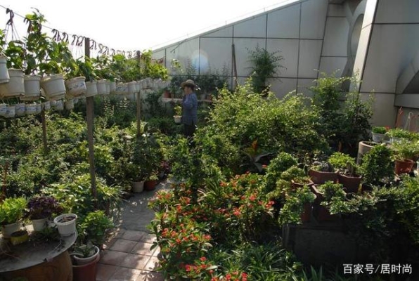 赤峰花圃市場地址電話是多少號-第1張圖片