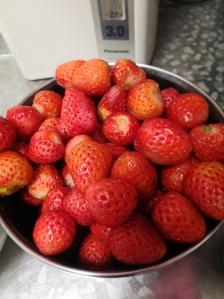 赤峰哪里有水果店啊電話號(hào)碼-第1張圖片