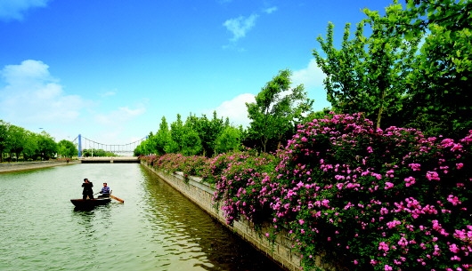 赤峰薔薇陪玩店電話號碼查詢-第1張圖片