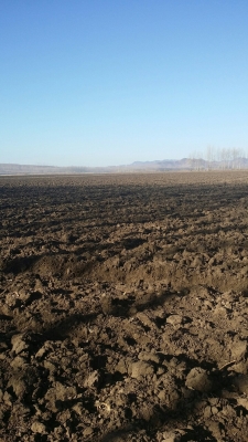 赤峰市排頭營子社區(qū)電話號碼-第1張圖片