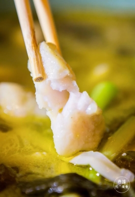 赤峰回收觀賞魚電話地址查詢-第1張圖片