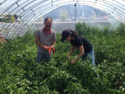 赤峰綠林果業(yè)采摘園電話號(hào)碼-第1張圖片