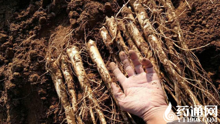 赤峰賈營(yíng)子村電話(huà)多少號(hào)-第1張圖片