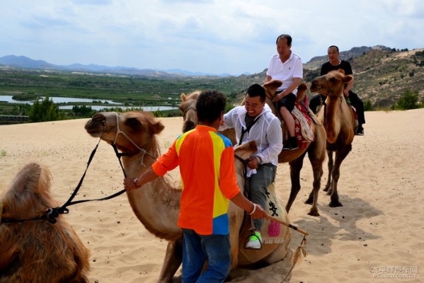 赤峰太平洋人壽保險電話號碼-第1張圖片