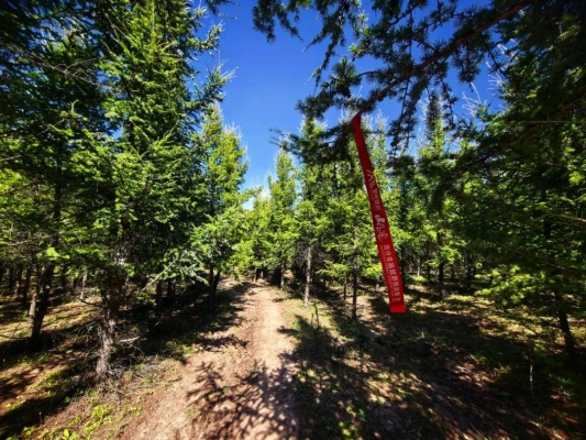 赤峰e(cuò)代駕電話是多少-第1張圖片