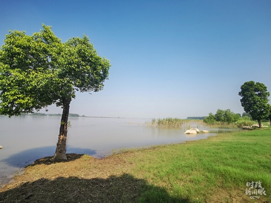 赤峰到巢湖海運(yùn)專線電話號(hào)碼-第1張圖片