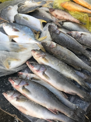 赤峰牛營(yíng)子桔梗咸菜廠電話號(hào)碼-第1張圖片