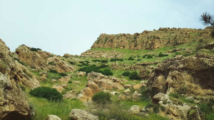 赤峰紅廟子中正飼料廠電話號(hào)碼-第1張圖片