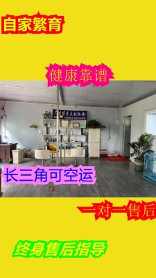 赤峰市薩摩耶犬舍電話地址查詢-第1張圖片