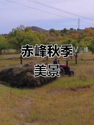 赤峰香媛閣美容院電話號碼-第1張圖片