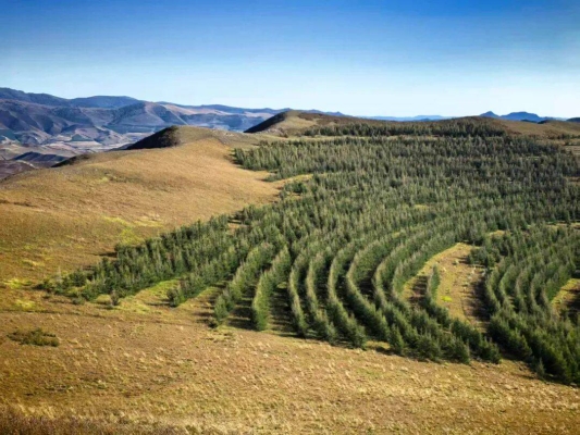 赤峰天暢網咖電話號碼查詢-第1張圖片