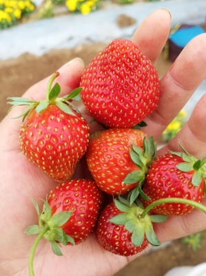 赤峰喀喇沁集貿(mào)市場(chǎng)電話號(hào)碼-第1張圖片