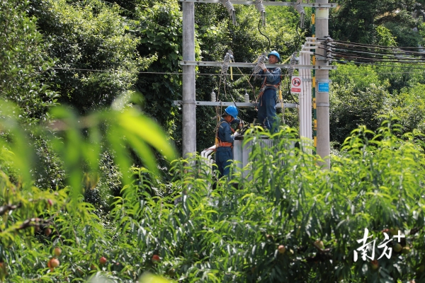 敖漢旗農(nóng)電局客服電話-第1張圖片