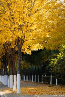 赤峰樂斯酒吧電話多少號碼-第1張圖片