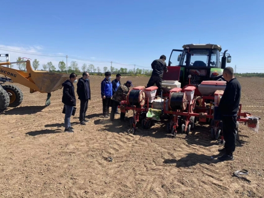 赤峰包谷種子銷(xiāo)售電話是多少號(hào)-第1張圖片