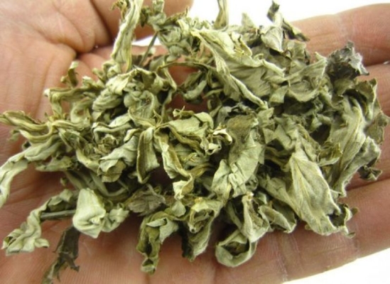 赤峰艾蒿批發(fā)電話號碼多少號-第1張圖片