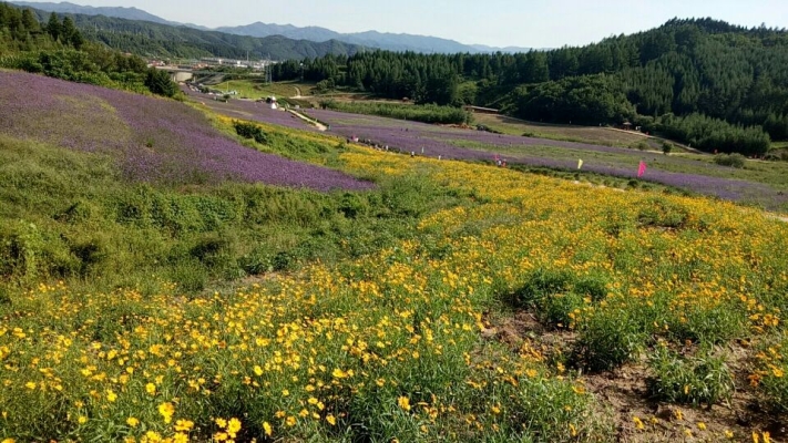 赤峰花海雪園游樂園電話號碼-第1張圖片