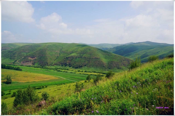 赤峰沐迷秀理發(fā)店電話號碼-第1張圖片