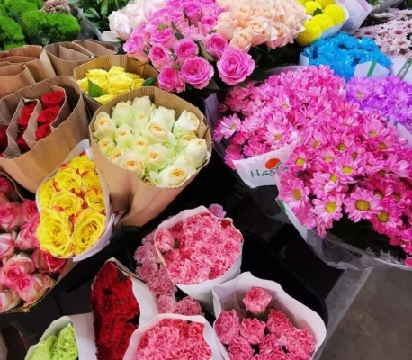 赤峰元寶山花卉市場(chǎng)-第1張圖片