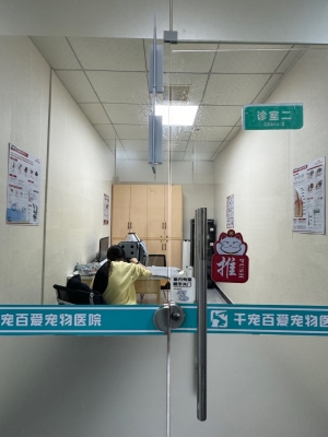 赤峰敖漢寵物醫(yī)院電話號(hào)碼-第1張圖片