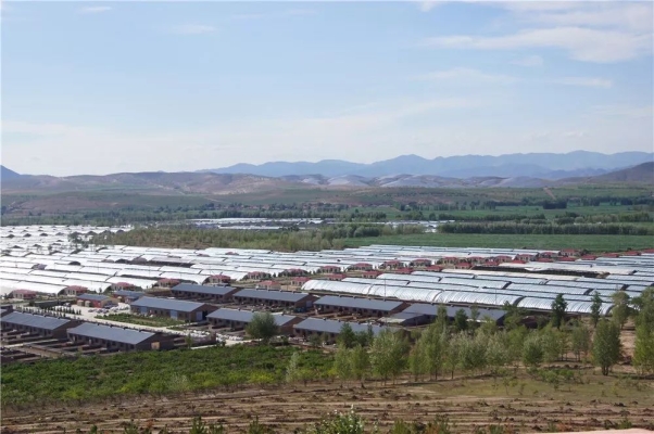 赤峰市發(fā)改委扶貧辦電話號碼-第1張圖片