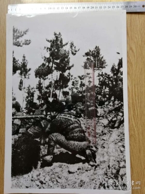 赤峰日軍司令部電話是多少號-第1張圖片