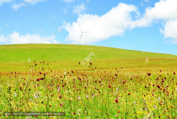 赤峰草原精品酒店電話多少號(hào)-第1張圖片