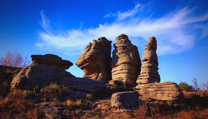 赤峰巔峰商貿(mào)公司電話號碼查詢-第1張圖片