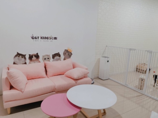 赤峰初心寵物店電話號(hào)碼查詢-第1張圖片