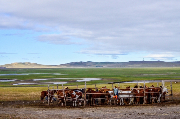 赤峰魔豆童裝店電話地址查詢(xún)-第1張圖片