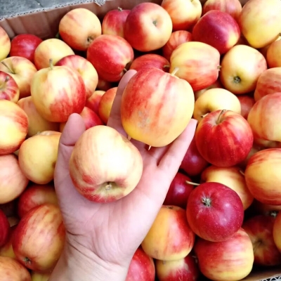 赤峰桃喜童裝店地址電話號碼-第1張圖片