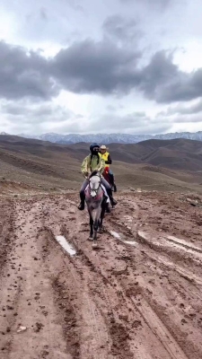 赤峰樂馭馬術(shù)館電話多少號(hào)-第1張圖片