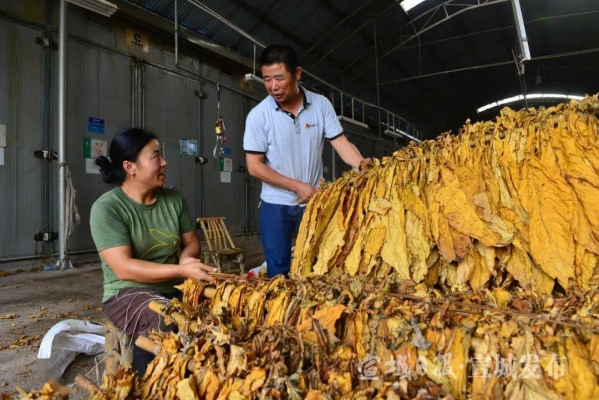 赤峰市煙絲批發(fā)電話地址查詢-第1張圖片