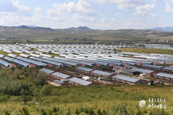 赤峰大棚卷揚(yáng)機(jī)廠家電話號(hào)碼-第1張圖片