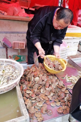 赤峰賣小雜魚(yú)的地方電話號(hào)碼-第1張圖片