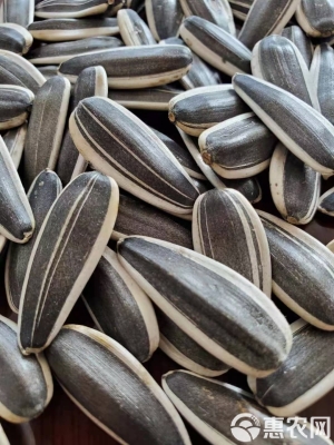 赤峰旺隆批發(fā)市場電話號碼-第1張圖片