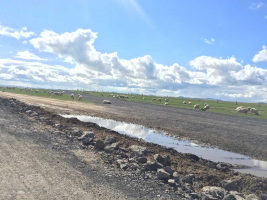 赤峰到聊城的大巴車電話號碼-第1張圖片