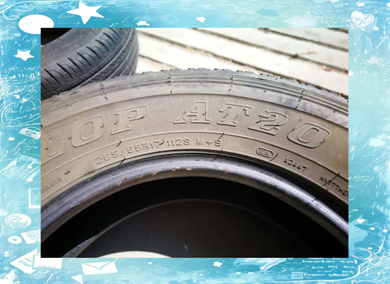 烏蘭浩特鄧祿普輪胎-第1張圖片