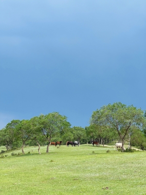 橋北赤峰租車公司電話號碼查詢-第1張圖片