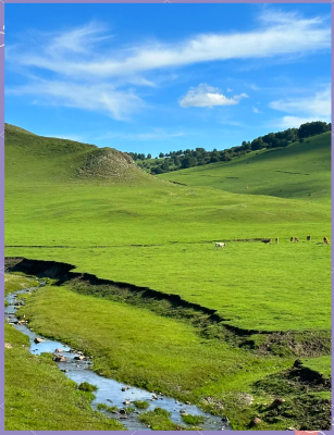 赤峰阿龍理發(fā)店地址電話(huà)號(hào)碼-第1張圖片