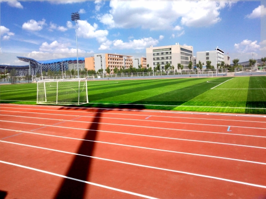 赤峰市體育操場地址電話號碼-第1張圖片