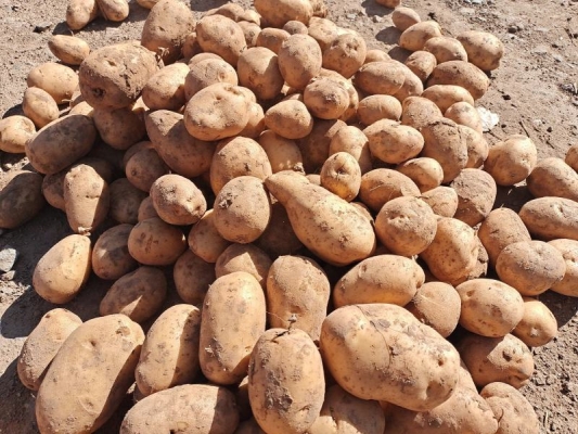 赤峰粘合劑直銷店電話號(hào)碼-第1張圖片