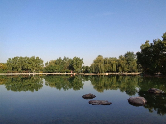 赤峰新城區(qū)蒙奇奇酒店電話號碼-第1張圖片