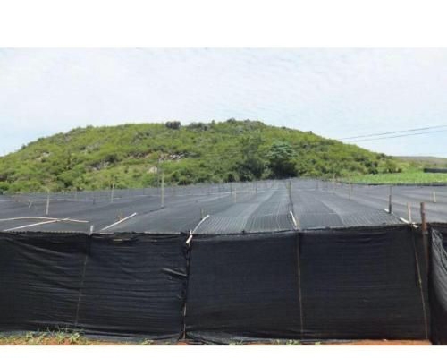 赤峰遮陽網(wǎng)銷售廠家電話號(hào)碼-第1張圖片