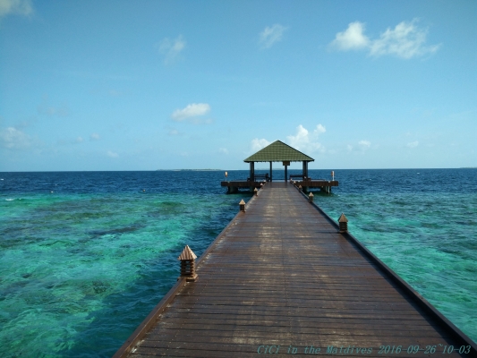 赤峰市馬爾代夫景點(diǎn)電話號(hào)碼-第1張圖片