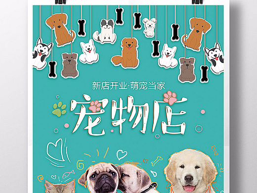 赤峰收寵物貓店的電話號碼-第1張圖片