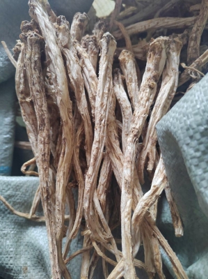 赤峰吃奶魚批發(fā)電話是多少號(hào)-第1張圖片