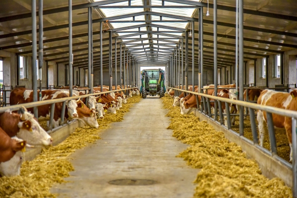 赤峰西漠飼料廠電話地址查詢-第1張圖片